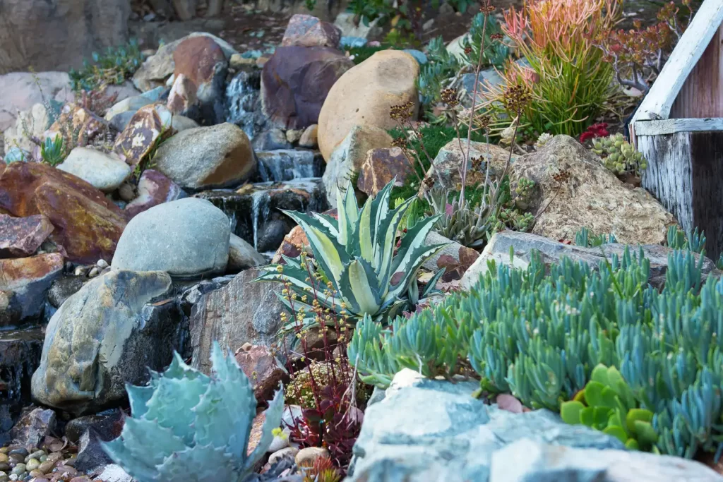 photo of Barrels & Branches Nursery